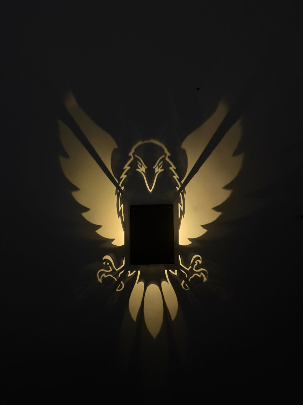 DIYSOSO FRAME LIGHTS H-008 — witch-eagle-projection. Printed witch front artwork with eagle projection.